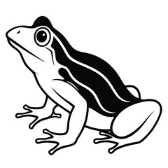 silhouette frog on white background