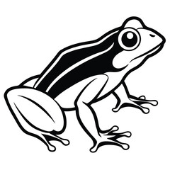 silhouette frog on white background