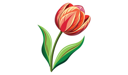 Single red and orange tulip flower illustration