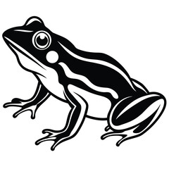 silhouette frog on white background