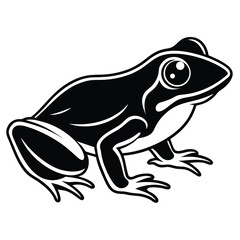 silhouette frog on white background