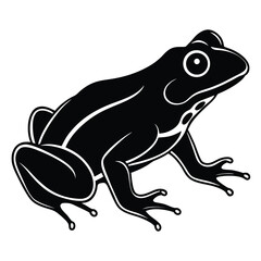 silhouette frog on white background