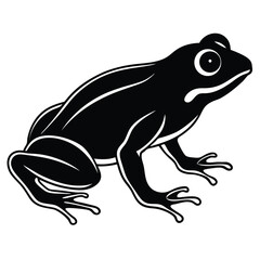 silhouette frog on white background