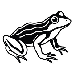 silhouette frog on white background