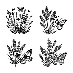 Lavender SVG