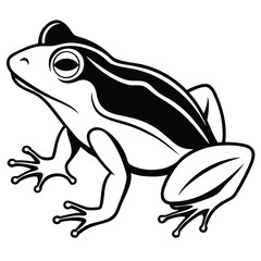 silhouette frog on white background