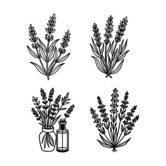 Lavender SVG