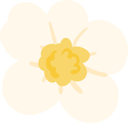 Illustration of a White Flower Blossom