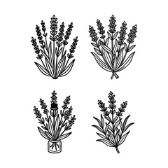 Lavender SVG