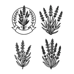 Lavender SVG