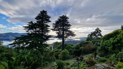 Larnach Castle Gardens, Dunedin