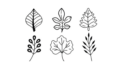 Nature-Inspired Leaf and Seed Icon Set – Black Silhouettes for Eco-Friendly Themes and Projects
