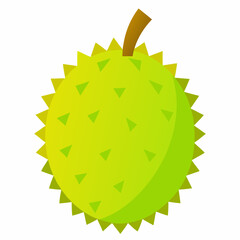 Durian fruit vector icon on white background.