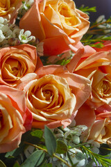A close-up of rose flower.