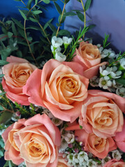 A close-up of rose flower.	