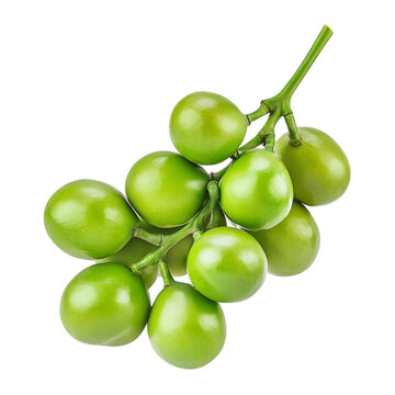 Fresh green spondias mombin fruits on branch isolated on transparent background