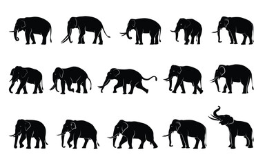 Set of male elephant silhouettes in different poses separated excellent drawing. Vector illustration.