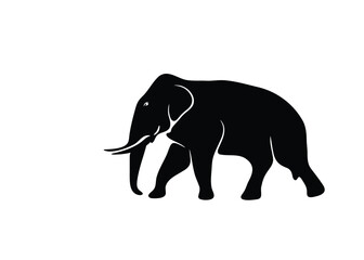 Isolated Asian male elephant shadow on white background. Vector illustration.