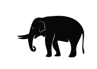 Big graceful Asian male elephant shadow with tusks on white background. Vector illustration.