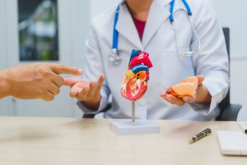 Asian male doctor specializing in cardiology explains heart disease to a patient using a heart...