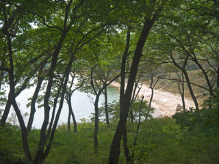 Small sea cove and sand beach seen from the above forest 