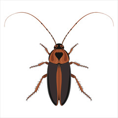 Cartoon cockroach icon isolated on white. Insect symbol vector illustration, great for pest control and entomology themes.