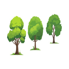 Isolated tree vector