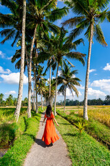 Young female tourist in red dress enjoying at the beautiful rice terrace in Bali, Indonesia