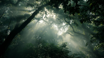 Sun rays through jungle canopy with shadows dancing, filtered sunlight, serene forest theme, cinematic landscape
