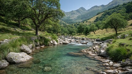 A clear mountain stream flows through lush green vegetation.