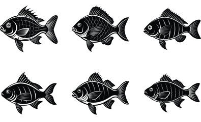 Nine black and white fish illustrations