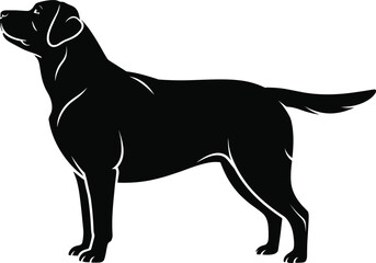 Labrador dog silhouette, black vector pet, standing retriever outline, loyal canine shape, dog breed design, detailed animal artwork