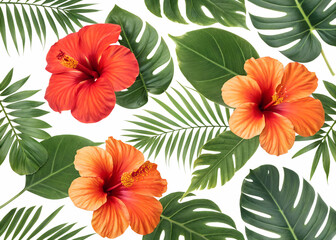 Hibiscus flower and tropical leaves isolated on transparant background. design illustration