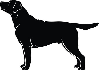 Black dog silhouette, Labrador retriever vector, standing pet graphic, canine outline illustration, domestic animal profile, pet dog artwork