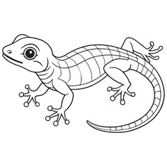Eastern Fence Lizard Line Art Illustration Educational Animal Drawing