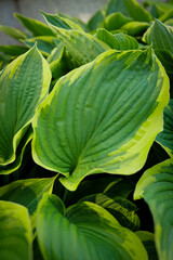 Dublin, Ireland - May 31 2025 