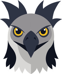 lose Up View of Harpy Eagle Face.