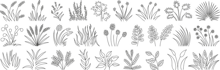 Botanical line art illustration set, hand drawn grass and flower sketch, floral decorative elements, nature vector for design projects