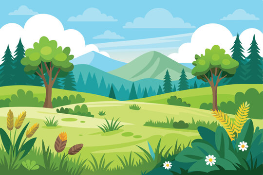 Meadow and grassland