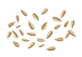 Shelled sunflower seeds flying on transparent background