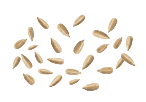 Shelled sunflower seeds flying on transparent background