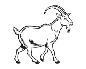 Obraz premium A black and white line drawing of a full goat in profile view isolated on transparent background, PNG