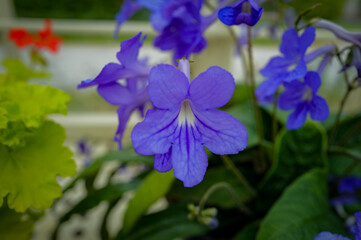 Dublin, Ireland - May 31 2025 