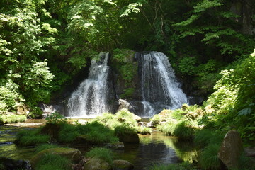 Fototapeta premium 明神滝