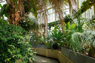 Dublin, Ireland - May 31 2025 