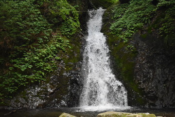 竜化の滝