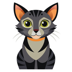 colorful cat vector image on white background