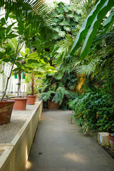 Dublin, Ireland - May 31 2025 