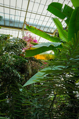 Dublin, Ireland - May 31 2025 