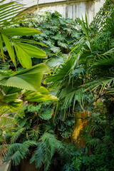 Dublin, Ireland - May 31 2025 